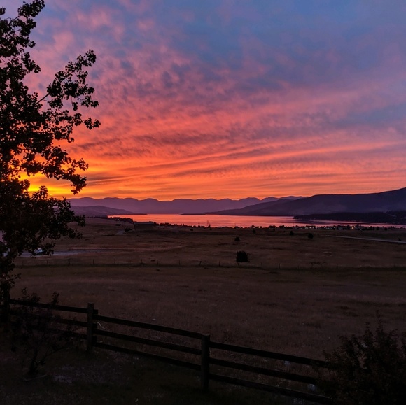 Meet your Posher, H - Picture 1 of 1